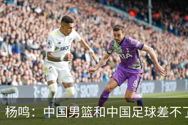 杨鸣：中国男篮和中国足球差不了太多，没有气场，失去了绝对优势