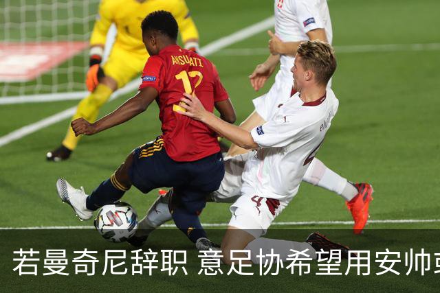 若曼奇尼辞职 意足协希望用安帅或卡纳瓦罗替代